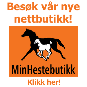Ny nettbutikk