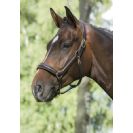 Mountain Horse Lrgrime